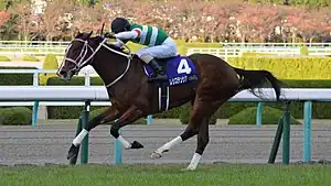 レシステンシア（2017年産）