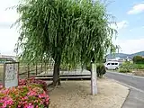 休憩所柳の木の下に了然和尚像がある。