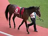 レイデオロ