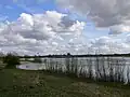 近くのレイン川