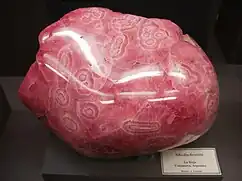 アルゼンチンのインカ・ローズ