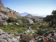 島の東部、リンドス付近の景観