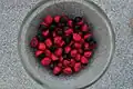 Rhynchosia phaseoloides の種子