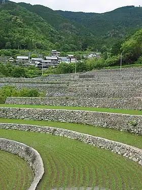 棚田の石垣(三重県松阪市)