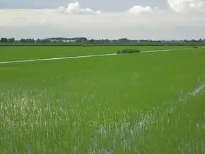 ヨランダ・ディ・サヴォーイアの風景