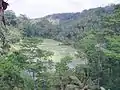 アユン川沿いの棚田