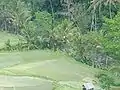 アユン川と棚田