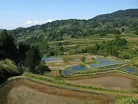 山古志地区の棚田