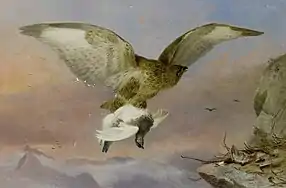 ライチョウを捕らえたヨーロッパノスリ（1876年）