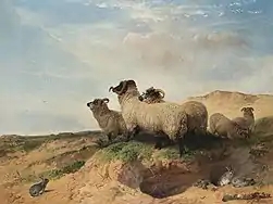 リザム砂丘（1853年）