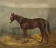 競走馬 "Fantôme"(1899)