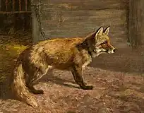 狐(1894)