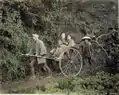 日本、人力車と芸妓。19世紀。写真は色づけされたもの、また美術館がアーカイブとして保存している物である。