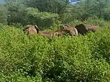 リモイ国立公園