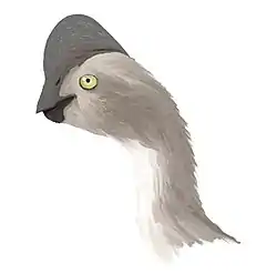 リンチェニア