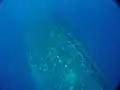 トラック諸島に沈む「りおで志゛やねろ丸」