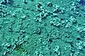 船首の船名。「RIO DE」という文字がうっすら見える