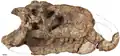 PVL 3828