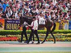 15:リオンリオン