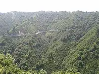 奥只見湖岸の断崖沿い（2010年8月）