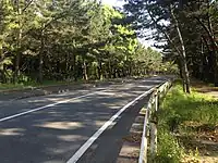 生の松原（道路）
