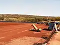 ルイボス農園南アフリカ共和国のクランウィリアム(英語版)、2005年9月の風景