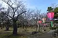 花見の時期の公園