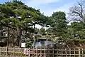 さくら池