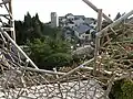 枝葉越しに見る六甲ガーデンテラス