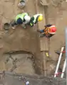 ロンドンで発見されたローマ時代の馬の骨