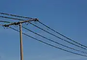 架線で羽を休める鳥の群れ。