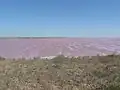 腐海の海岸の風景