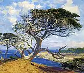"Monterey Cypress" (c.1918)