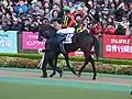 12. ローズキングダム
