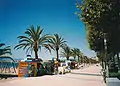 ロザスの海岸