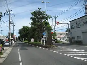 埼玉県ふじみ野市大井付近（2014年8月）