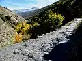 登山道