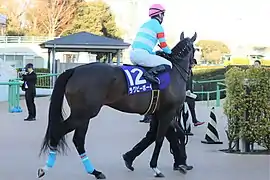 12:ラグビーボーイ