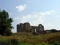 湿地から見た修道院の廃墟