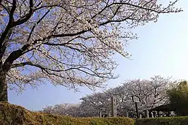 沓掛城址(2018年(平成30年)3月)