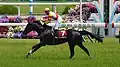 2014年京都ハイジャンプ