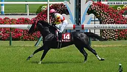 2015年京都ハイジャンプ