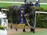 ルーラーシップ