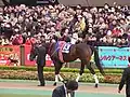 13. ルーラーシップ