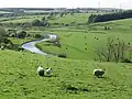 イギリスの田舎の牧場の風景
