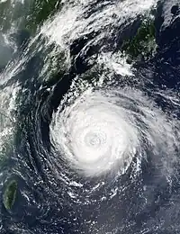 衛星画像(8月29日)