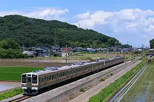 主力車両の211系電車(大平下駅 - 岩舟駅間 2020年6月)
