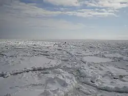 網走沖の流氷 (3)