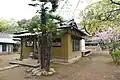 拝殿・本尊収蔵庫右奥に金堂跡。