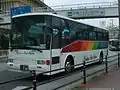 貸切車。琉球バス時代に導入された車両であるが琉球バス交通発足後に塗り替えられた。